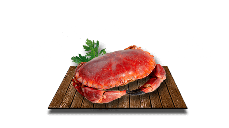 Parallax Image