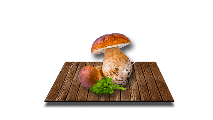 Parallax Image